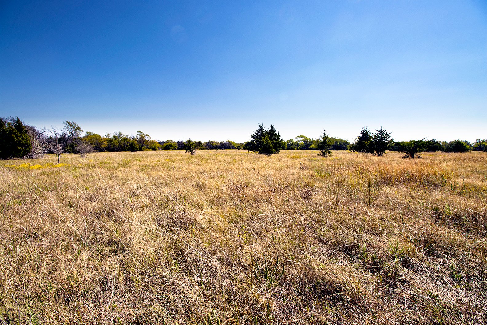 Property photo 18 - Kansas Flint Hills Hunting and Pasture Auction - 470+/- Acres Offered in 6 Tracts in Elk County, Kansas