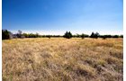 Property photo 18 - Kansas Flint Hills Hunting and Pasture Auction - 470+/- Acres Offered in 6 Tracts in Elk County, Kansas