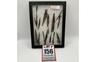 Property photo 64 - TIMED ONLINE ONLY PERSONAL PROPERTY AUCTION IN ALLEN COUNTY, INDIANA