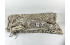 Property photo 171 - TIMED ONLINE ONLY PERSONAL PROPERTY AUCTION IN ALLEN COUNTY, INDIANA