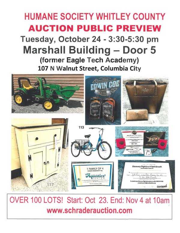 Timed Online Only Annual Benefit Charity Auction