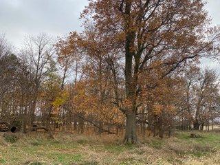 Property photo 14 - LAND AUCTION - 59.5+/- ACRES OFFERED IN 6 TRACTS IN LAGRANGE COUNTY, INDIANA
