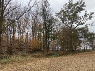 Property photo 17 - LAND AUCTION - 59.5+/- ACRES OFFERED IN 6 TRACTS IN LAGRANGE COUNTY, INDIANA