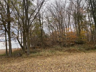 Property photo 21 - LAND AUCTION - 59.5+/- ACRES OFFERED IN 6 TRACTS IN LAGRANGE COUNTY, INDIANA