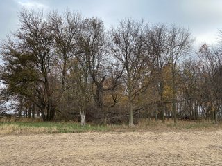Property photo 23 - LAND AUCTION - 59.5+/- ACRES OFFERED IN 6 TRACTS IN LAGRANGE COUNTY, INDIANA