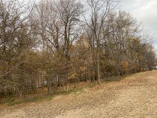 Property photo 24 - LAND AUCTION - 59.5+/- ACRES OFFERED IN 6 TRACTS IN LAGRANGE COUNTY, INDIANA