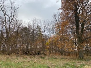 Property photo 25 - LAND AUCTION - 59.5+/- ACRES OFFERED IN 6 TRACTS IN LAGRANGE COUNTY, INDIANA
