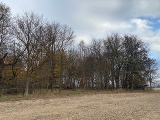 Property photo 26 - LAND AUCTION - 59.5+/- ACRES OFFERED IN 6 TRACTS IN LAGRANGE COUNTY, INDIANA