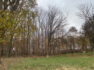 Property photo 27 - LAND AUCTION - 59.5+/- ACRES OFFERED IN 6 TRACTS IN LAGRANGE COUNTY, INDIANA