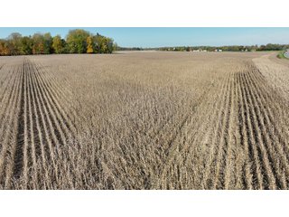 Property photo 12 - LAND AUCTION - 59.5+/- ACRES OFFERED IN 6 TRACTS IN LAGRANGE COUNTY, INDIANA