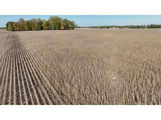 Property photo 13 - LAND AUCTION - 59.5+/- ACRES OFFERED IN 6 TRACTS IN LAGRANGE COUNTY, INDIANA