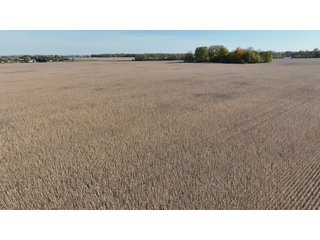 Property photo 8 - LAND AUCTION - 59.5+/- ACRES OFFERED IN 6 TRACTS IN LAGRANGE COUNTY, INDIANA