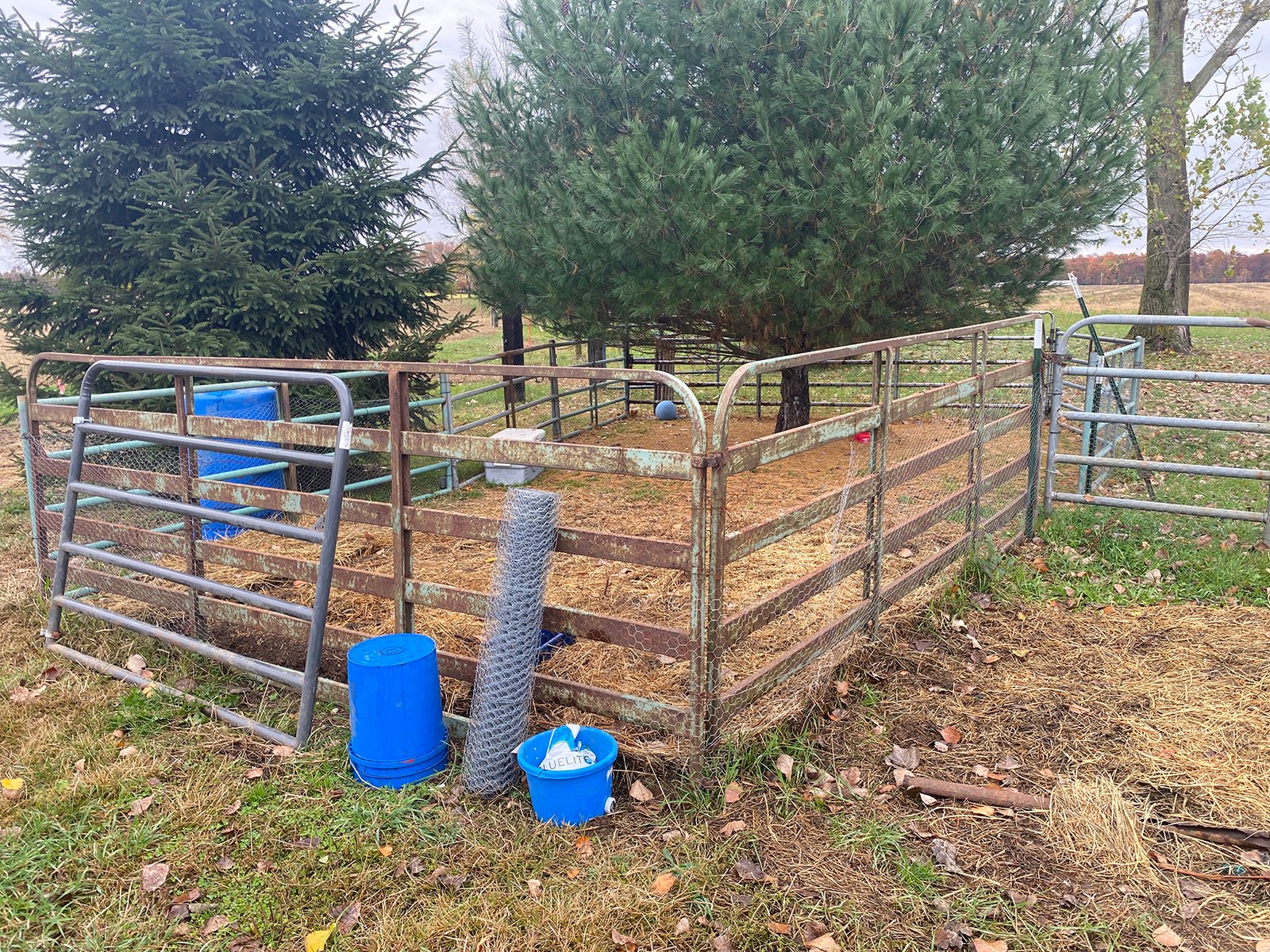 Property photo 42 - TIMED ONLINE ONLY FARM EQUIPMENT & PERSONAL PROPERTY AUCTION IN ST. JOSEPH COUNTY, MICHIGAN