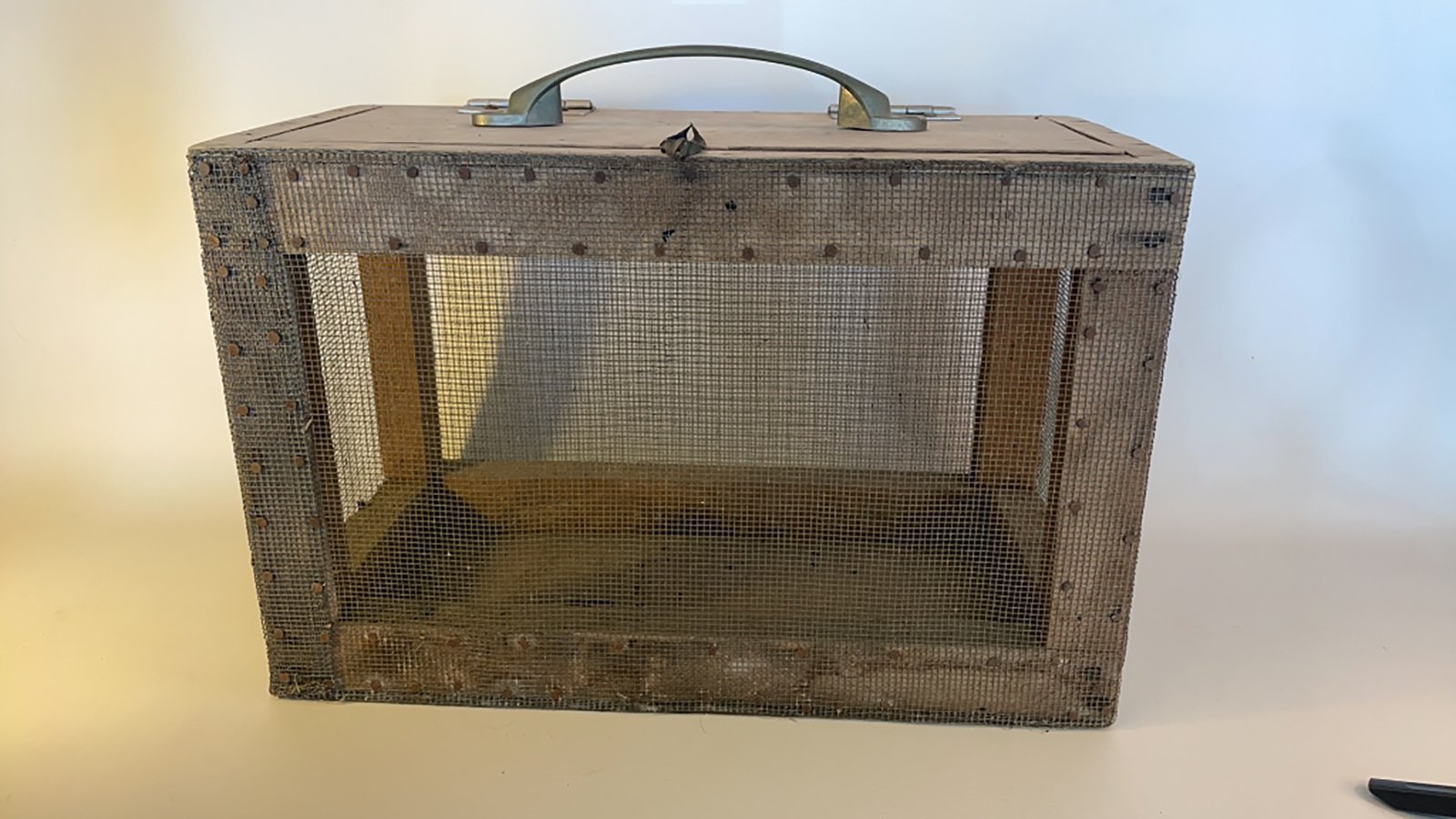 Property photo 261 - TIMED ONLINE ONLY PERSONAL PROPERTY AUCTION IN ALLEN COUNTY, INDIANA