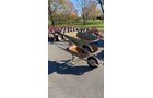 Property photo 37 - TIMED ONLINE ONLY PERSONAL PROPERTY AUCTION IN DEKALB & STEUBEN COUNTIES, INDIANA