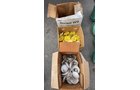 Property photo 115 - TIMED ONLINE ONLY PERSONAL PROPERTY AUCTION IN DEKALB & STEUBEN COUNTIES, INDIANA