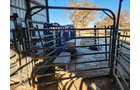 Property photo 28 - FARM EQUIPMENT AUCTION IN DOUGLAS COUNTY, MISSOURI
