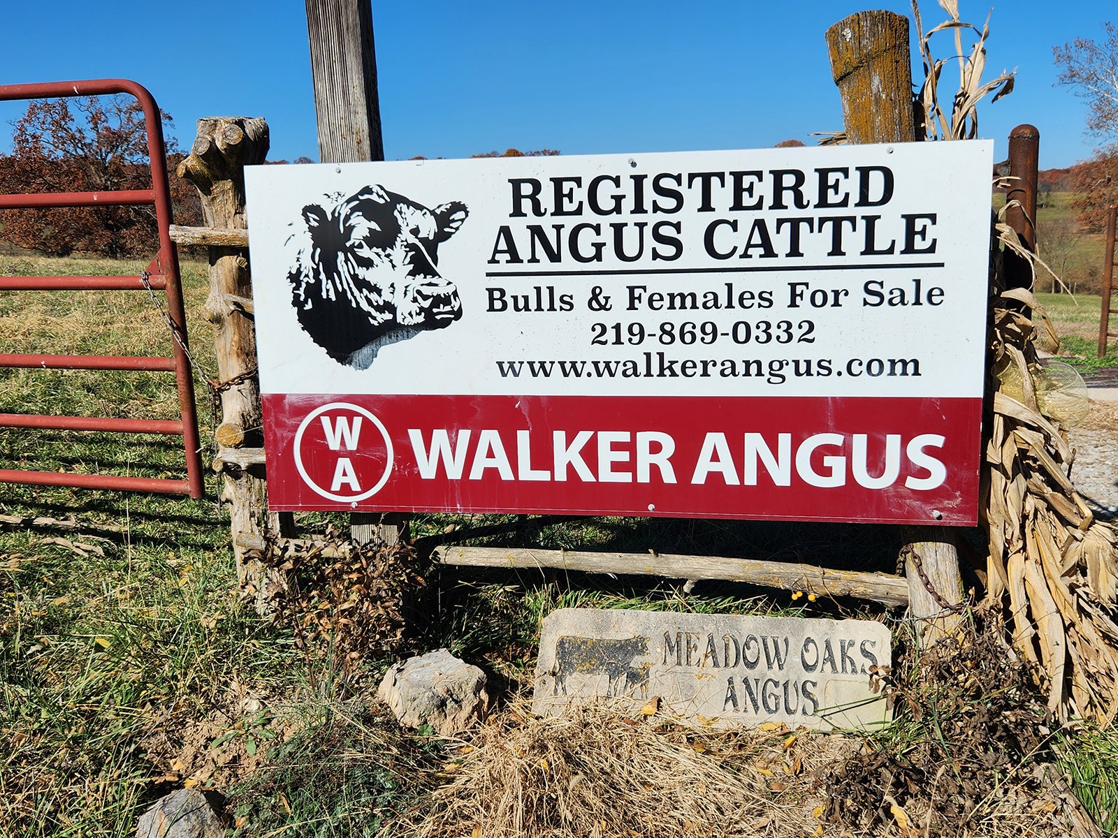 Property photo 45 - FARM EQUIPMENT AUCTION IN DOUGLAS COUNTY, MISSOURI