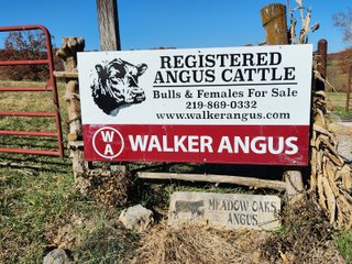 Property photo 45 - FARM EQUIPMENT AUCTION IN DOUGLAS COUNTY, MISSOURI