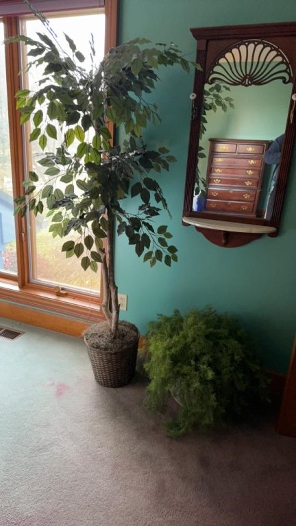 Property photo 165 - TIMED ONLINE ONLY PERSONAL PROPERTY AUCTION IN NOBLE COUNTY, INDIANA