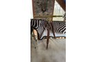 Property photo 173 - TIMED ONLINE ONLY PERSONAL PROPERTY AUCTION IN NOBLE COUNTY, INDIANA