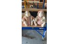 Property photo 299 - TIMED ONLINE ONLY PERSONAL PROPERTY AUCTION IN NOBLE COUNTY, INDIANA