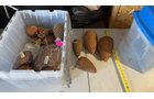 Property photo 372 - TIMED ONLINE ONLY PERSONAL PROPERTY AUCTION IN NOBLE COUNTY, INDIANA