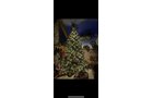 Property photo 396 - TIMED ONLINE ONLY PERSONAL PROPERTY AUCTION IN NOBLE COUNTY, INDIANA