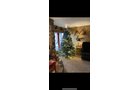 Property photo 397 - TIMED ONLINE ONLY PERSONAL PROPERTY AUCTION IN NOBLE COUNTY, INDIANA