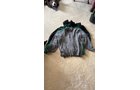 Property photo 580 - TIMED ONLINE ONLY PERSONAL PROPERTY AUCTION IN NOBLE COUNTY, INDIANA