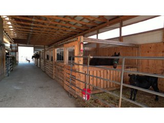Property photo 10 - REAL ESTATE FOR SALE 12.67 ACRES IN BLOOMINGTON, WISCONSIN  (GRANT COUNTY, WISCONSIN)