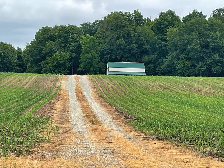 For sale: LAND FOR SALE - 46.8+/- ACRES IN KOSCIUSKO COUNTY, INDIANA - Claypool, IN - Kosciusko County, IN
