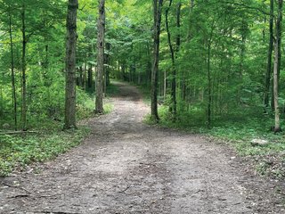 <li>Hunting <li>Wildlife <li>Pond <li>Pole Building <li>Tillable Land <li>Building Site<br>
This property is a hunter's paradise with approximately 26+/- wooded acres with a 1.75+/- acre pond and a trail through the woods. The pole building is set back off the road and is 40ft x 40ft, with an 8ft x 40ft covered porch and concrete floor. 20.75+/- acres of productive tillable land. No electric or water.<br>
 - LAND FOR SALE - 46.8+/- ACRES IN KOSCIUSKO COUNTY, INDIANA