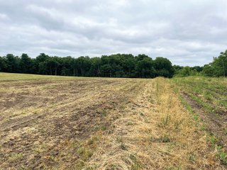 <li>Hunting <li>Wildlife <li>Pond <li>Pole Building <li>Tillable Land <li>Building Site<br>
This property is a hunter's paradise with approximately 26+/- wooded acres with a 1.75+/- acre pond and a trail through the woods. The pole building is set back off the road and is 40ft x 40ft, with an 8ft x 40ft covered porch and concrete floor. 20.75+/- acres of productive tillable land. No electric or water.<br>
 - LAND FOR SALE - 46.8+/- ACRES IN KOSCIUSKO COUNTY, INDIANA