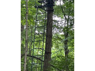 <li>Hunting <li>Wildlife <li>Pond <li>Pole Building <li>Tillable Land <li>Building Site<br>
This property is a hunter's paradise with approximately 26+/- wooded acres with a 1.75+/- acre pond and a trail through the woods. The pole building is set back off the road and is 40ft x 40ft, with an 8ft x 40ft covered porch and concrete floor. 20.75+/- acres of productive tillable land. No electric or water.<br>
 - LAND FOR SALE - 46.8+/- ACRES IN KOSCIUSKO COUNTY, INDIANA