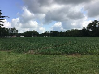 Don't miss this opportunity to experience country living at it's finest! This is a 3-bedroom, 2-bath, 1,876 square foot Country Home that has been completely updated and is ready to enjoy. The updates include a new addition, new roof, siding, wood flooring, air conditioner, heating system, electrical - you name it and it has been updated. Enjoy the beautiful landscaping and wide-open spaces that include mature trees, new plantings and even an apple orchard. House features include a 15x17 family room, 11x15 formal dining room, large bedrooms, parlor, sun room, large deck, laundry room, basement, whole-house generator and more. Outdoors you will find a spacious barn with room for tools, lawn equipment and even animals. There is also approximately 4 1/2 +/- acres for added income potential. This is a wonderful opportunity to create your dream home in the country. Up to 68+/- additional acres available with full frontage on the Mississinewa River. - BEAUTIFUL COUNTRY HOME FOR SALE - 13+/- ACRES IN DELAWARE COUNTY, INDIANA