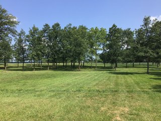 Don't miss this opportunity to experience country living at it's finest! This is a 3-bedroom, 2-bath, 1,876 square foot Country Home that has been completely updated and is ready to enjoy. The updates include a new addition, new roof, siding, wood flooring, air conditioner, heating system, electrical - you name it and it has been updated. Enjoy the beautiful landscaping and wide-open spaces that include mature trees, new plantings and even an apple orchard. House features include a 15x17 family room, 11x15 formal dining room, large bedrooms, parlor, sun room, large deck, laundry room, basement, whole-house generator and more. Outdoors you will find a spacious barn with room for tools, lawn equipment and even animals. There is also approximately 4 1/2 +/- acres for added income potential. This is a wonderful opportunity to create your dream home in the country. Up to 68+/- additional acres available with full frontage on the Mississinewa River. - BEAUTIFUL COUNTRY HOME FOR SALE - 13+/- ACRES IN DELAWARE COUNTY, INDIANA