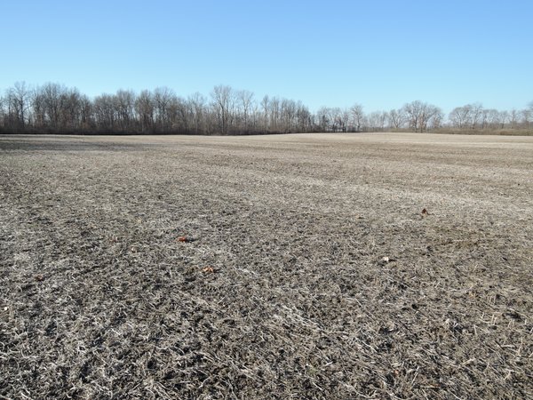 For sale: LAND FOR SALE - 20+/- ACRES IN DELAWARE COUNTY, INDIANA - adjacent to 4300 East County Road 300 South, Muncie, IN 47302 - Delaware County, IN