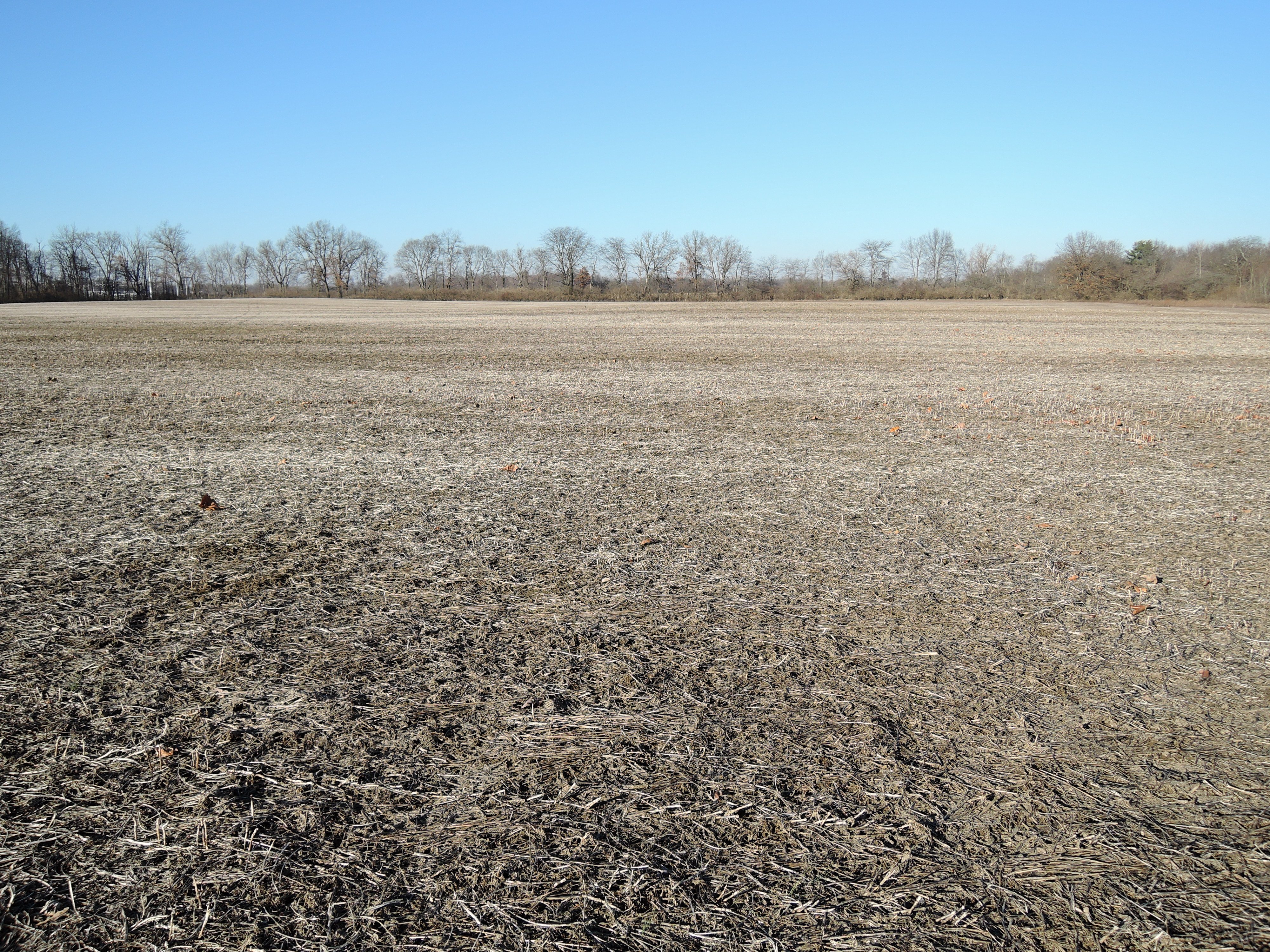 <li> Mostly Tillable with Quality Soils 
<li> Approximately 2 miles SSE of Muncie along CR 350 South 
<li> Near Cardinal Greenway and Prairie Creek Reservoir 
<li> Delaware County, Section 36, Monroe Township: 19.71+/- acres per county GIS
<li> 18.22+/- Tillable Acres per Farm Service Agency
<li> Quality Soil Mix Featuring Crosby and Treaty Soils
<li> 2024 Crop rights to the buyer - LAND FOR SALE - 20+/- ACRES IN DELAWARE COUNTY, INDIANA