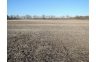 <li> Mostly Tillable with Quality Soils 
<li> Approximately 2 miles SSE of Muncie along CR 350 South 
<li> Near Cardinal Greenway and Prairie Creek Reservoir 
<li> Delaware County, Section 36, Monroe Township: 19.71+/- acres per county GIS
<li> 18.22+/- Tillable Acres per Farm Service Agency
<li> Quality Soil Mix Featuring Crosby and Treaty Soils
<li> 2024 Crop rights to the buyer - LAND FOR SALE - 20+/- ACRES IN DELAWARE COUNTY, INDIANA
