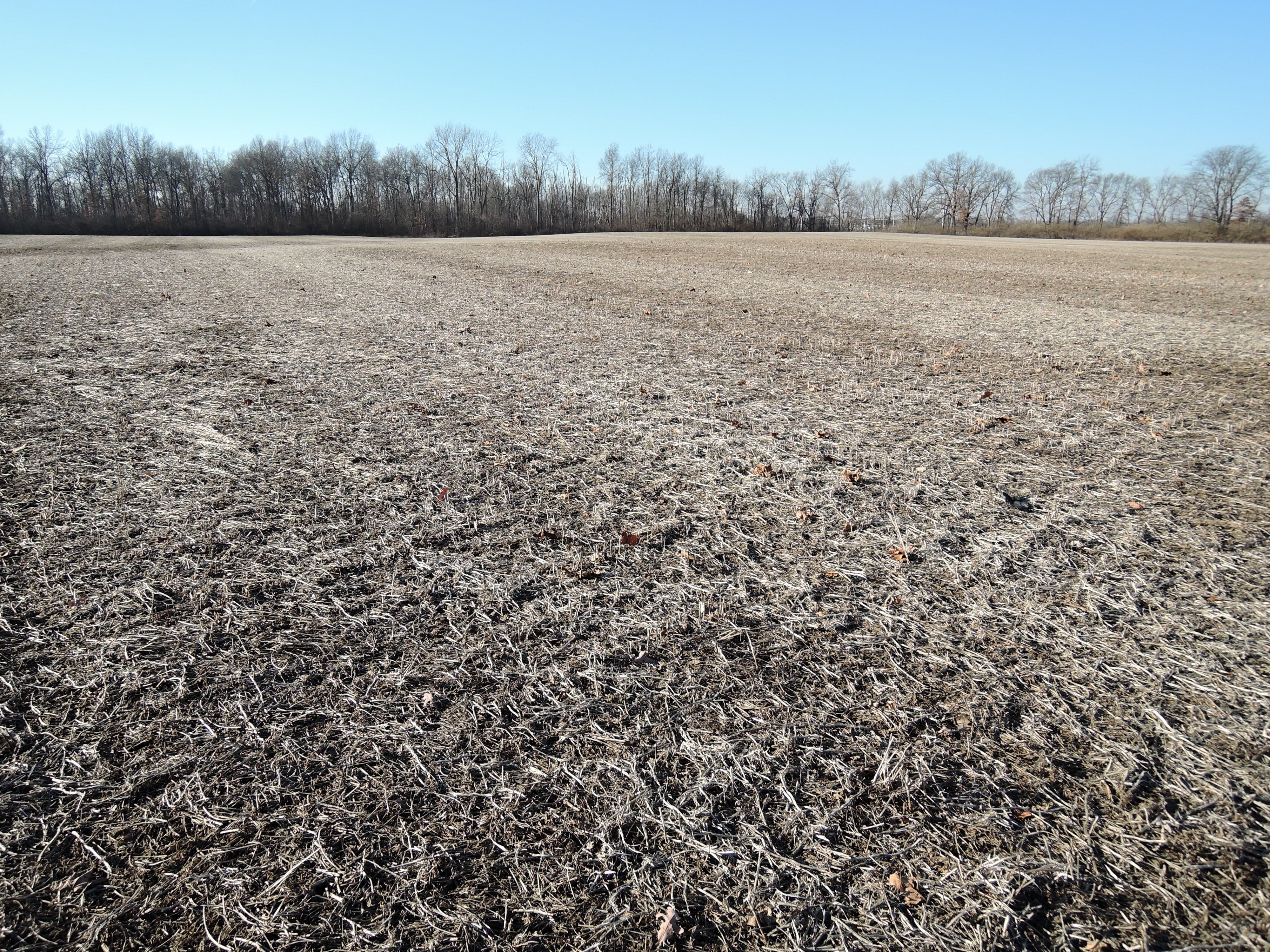 <li> Mostly Tillable with Quality Soils 
<li> Approximately 2 miles SSE of Muncie along CR 350 South 
<li> Near Cardinal Greenway and Prairie Creek Reservoir 
<li> Delaware County, Section 36, Monroe Township: 19.71+/- acres per county GIS
<li> 18.22+/- Tillable Acres per Farm Service Agency
<li> Quality Soil Mix Featuring Crosby and Treaty Soils
<li> 2024 Crop rights to the buyer - LAND FOR SALE - 20+/- ACRES IN DELAWARE COUNTY, INDIANA