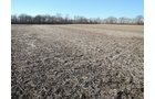 <li> Mostly Tillable with Quality Soils 
<li> Approximately 2 miles SSE of Muncie along CR 350 South 
<li> Near Cardinal Greenway and Prairie Creek Reservoir 
<li> Delaware County, Section 36, Monroe Township: 19.71+/- acres per county GIS
<li> 18.22+/- Tillable Acres per Farm Service Agency
<li> Quality Soil Mix Featuring Crosby and Treaty Soils
<li> 2024 Crop rights to the buyer - LAND FOR SALE - 20+/- ACRES IN DELAWARE COUNTY, INDIANA