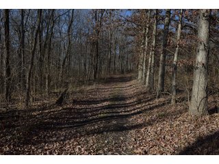 <b>The Dillon property is one of the most unique finds in northeast Indiana.</b> Committed to wildlife and conservation, Dr. Gary and Ann Dillon placed the property under a conservation easement in 2017. He and his management have been committed to protecting and preserving the woodlands, wetlands, and natural habitats for plants and wildlife. Because of this, there is an abundance of deer, turkey, and waterfowl drawn to the property. The property consists of several variations of hardwood timber and pines, which can be harvested as specified in the conservation easement. The conservation easement also allows for the construction of 2 homes on the property. Consider for a magnificent estate setting. Come inspect this one-of-a-kind property for yourself!
<li>2 Large Ponds - Great Fishing
<li>2 Homestead Possibilities
<li>Beautiful Wooded Views and Rolling Terrain
<li>Existing Trail System Throughout the Property
<li>Outstanding Hunting
<li>Great Variation of Young and Mature Timber - LAND FOR SALE - 167.99+/- ACRES IN WHITLEY COUNTY, INDIANA - POTENTIAL ESTATE SETTING