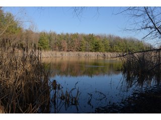 <b>The Dillon property is one of the most unique finds in northeast Indiana.</b> Committed to wildlife and conservation, Dr. Gary and Ann Dillon placed the property under a conservation easement in 2017. He and his management have been committed to protecting and preserving the woodlands, wetlands, and natural habitats for plants and wildlife. Because of this, there is an abundance of deer, turkey, and waterfowl drawn to the property. The property consists of several variations of hardwood timber and pines, which can be harvested as specified in the conservation easement. The conservation easement also allows for the construction of 2 homes on the property. Consider for a magnificent estate setting. Come inspect this one-of-a-kind property for yourself!
<li>2 Large Ponds - Great Fishing
<li>2 Homestead Possibilities
<li>Beautiful Wooded Views and Rolling Terrain
<li>Existing Trail System Throughout the Property
<li>Outstanding Hunting
<li>Great Variation of Young and Mature Timber - LAND FOR SALE - 167.99+/- ACRES IN WHITLEY COUNTY, INDIANA - POTENTIAL ESTATE SETTING