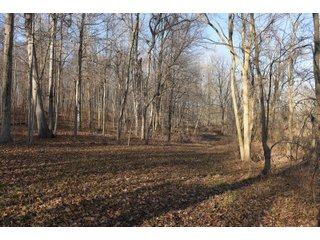 <b>The Dillon property is one of the most unique finds in northeast Indiana.</b> Committed to wildlife and conservation, Dr. Gary and Ann Dillon placed the property under a conservation easement in 2017. He and his management have been committed to protecting and preserving the woodlands, wetlands, and natural habitats for plants and wildlife. Because of this, there is an abundance of deer, turkey, and waterfowl drawn to the property. The property consists of several variations of hardwood timber and pines, which can be harvested as specified in the conservation easement. The conservation easement also allows for the construction of 2 homes on the property. Consider for a magnificent estate setting. Come inspect this one-of-a-kind property for yourself!
<li>2 Large Ponds - Great Fishing
<li>2 Homestead Possibilities
<li>Beautiful Wooded Views and Rolling Terrain
<li>Existing Trail System Throughout the Property
<li>Outstanding Hunting
<li>Great Variation of Young and Mature Timber - LAND FOR SALE - 167.99+/- ACRES IN WHITLEY COUNTY, INDIANA - POTENTIAL ESTATE SETTING