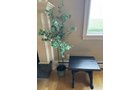 Property photo 12 - TIMED ONLINE ONLY PERSONAL PROPERTY AUCTION IN ALLEN COUNTY, INDIANA