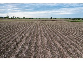 Property photo 7 - IMPORTANT LAND AUCTION - 383+/- ACRES OFFERED IN 7 TRACTS IN CHARLES MIX COUNTY, SOUTH DAKOTA