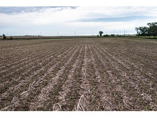 Property photo 8 - IMPORTANT LAND AUCTION - 383+/- ACRES OFFERED IN 7 TRACTS IN CHARLES MIX COUNTY, SOUTH DAKOTA