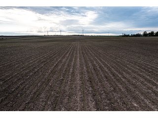 Property photo 18 - IMPORTANT LAND AUCTION - 383+/- ACRES OFFERED IN 7 TRACTS IN CHARLES MIX COUNTY, SOUTH DAKOTA