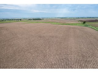 Property photo 19 - IMPORTANT LAND AUCTION - 383+/- ACRES OFFERED IN 7 TRACTS IN CHARLES MIX COUNTY, SOUTH DAKOTA